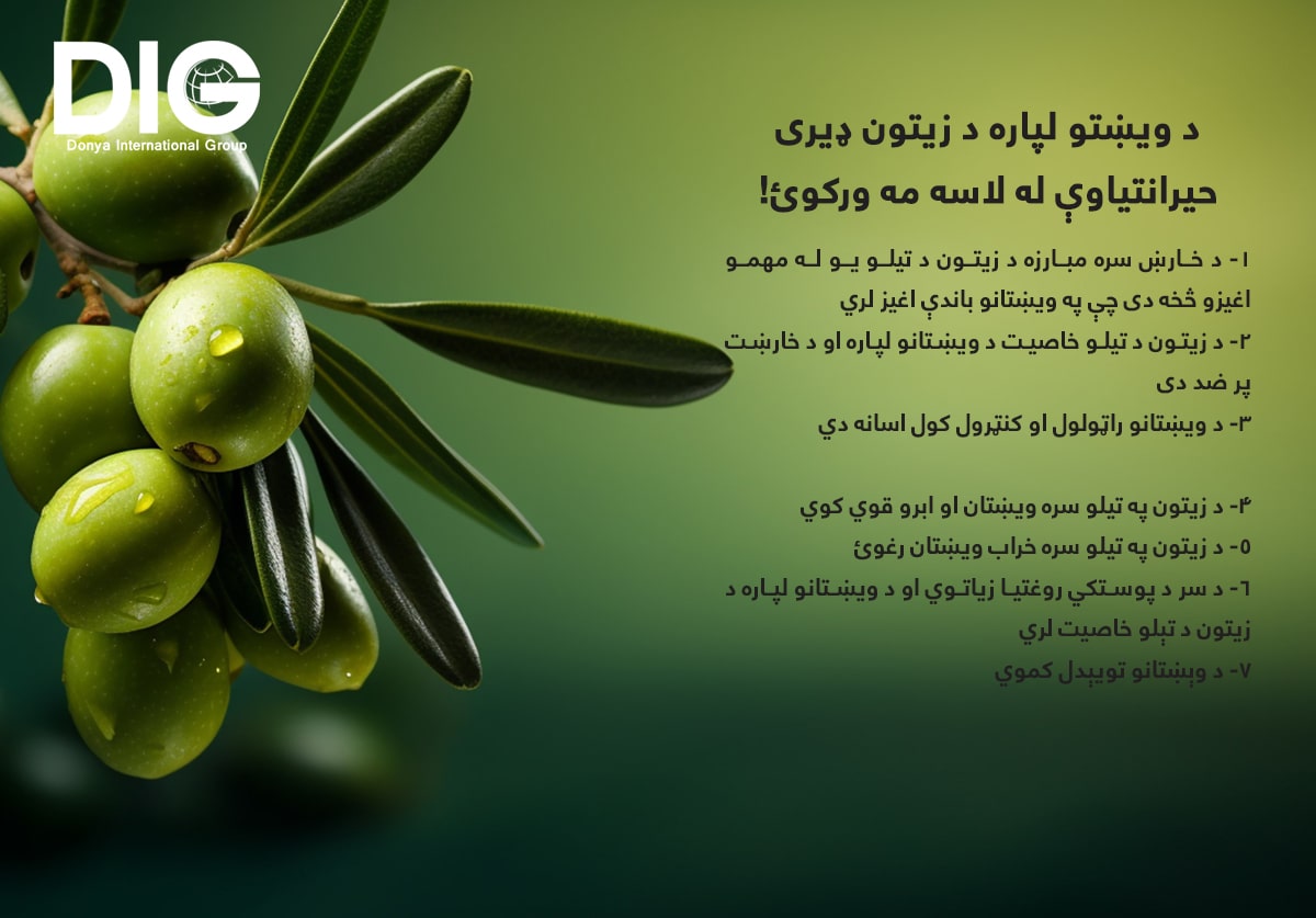 IMG-BLOG