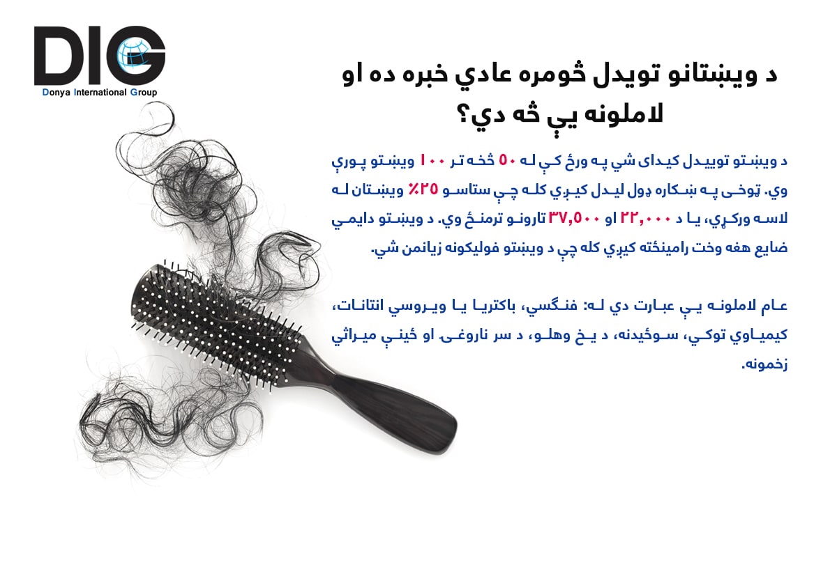 IMG-BLOG