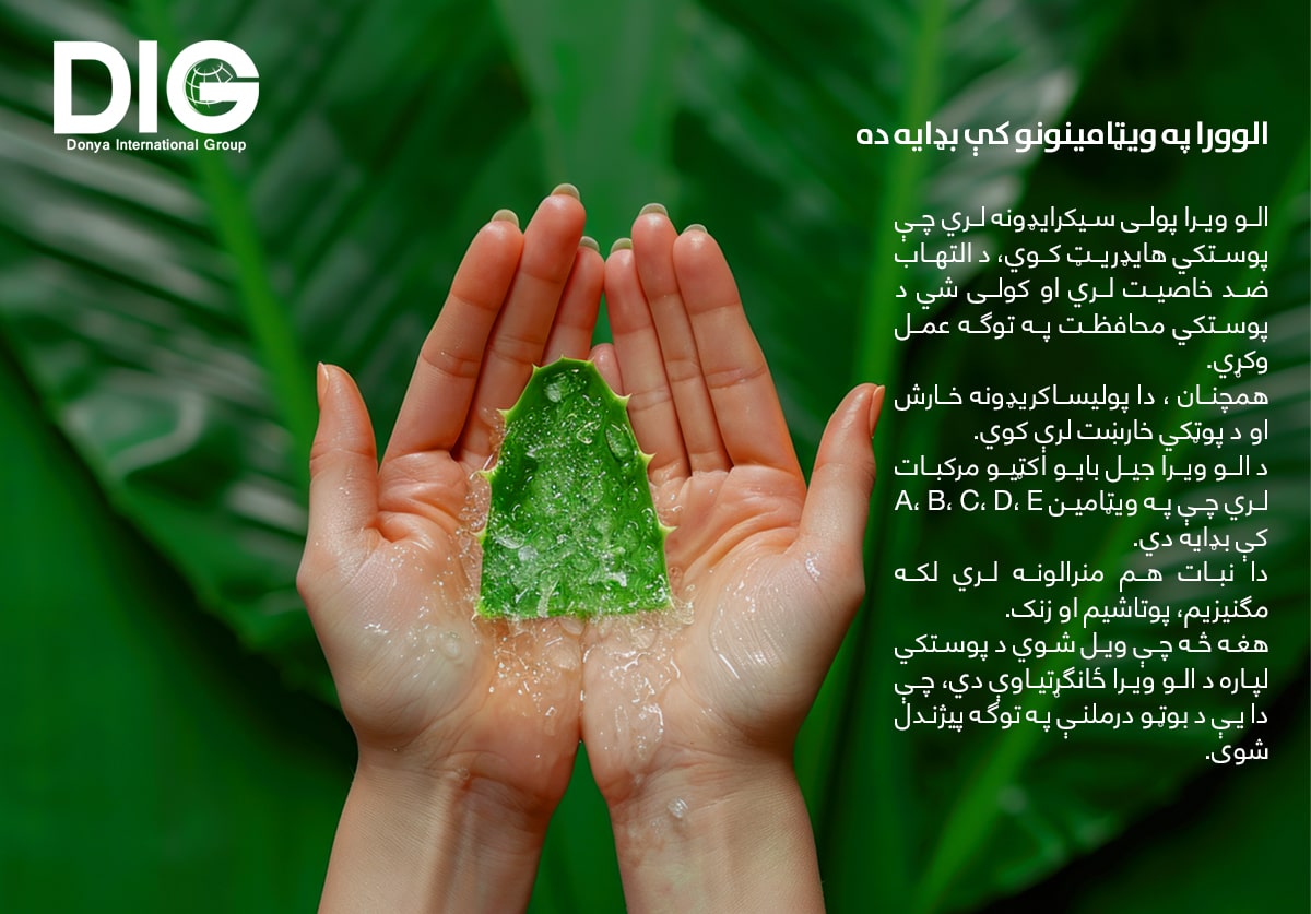 IMG-BLOG