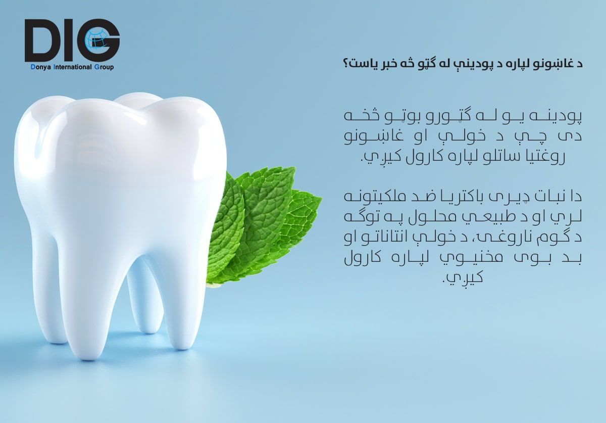 IMG-BLOG