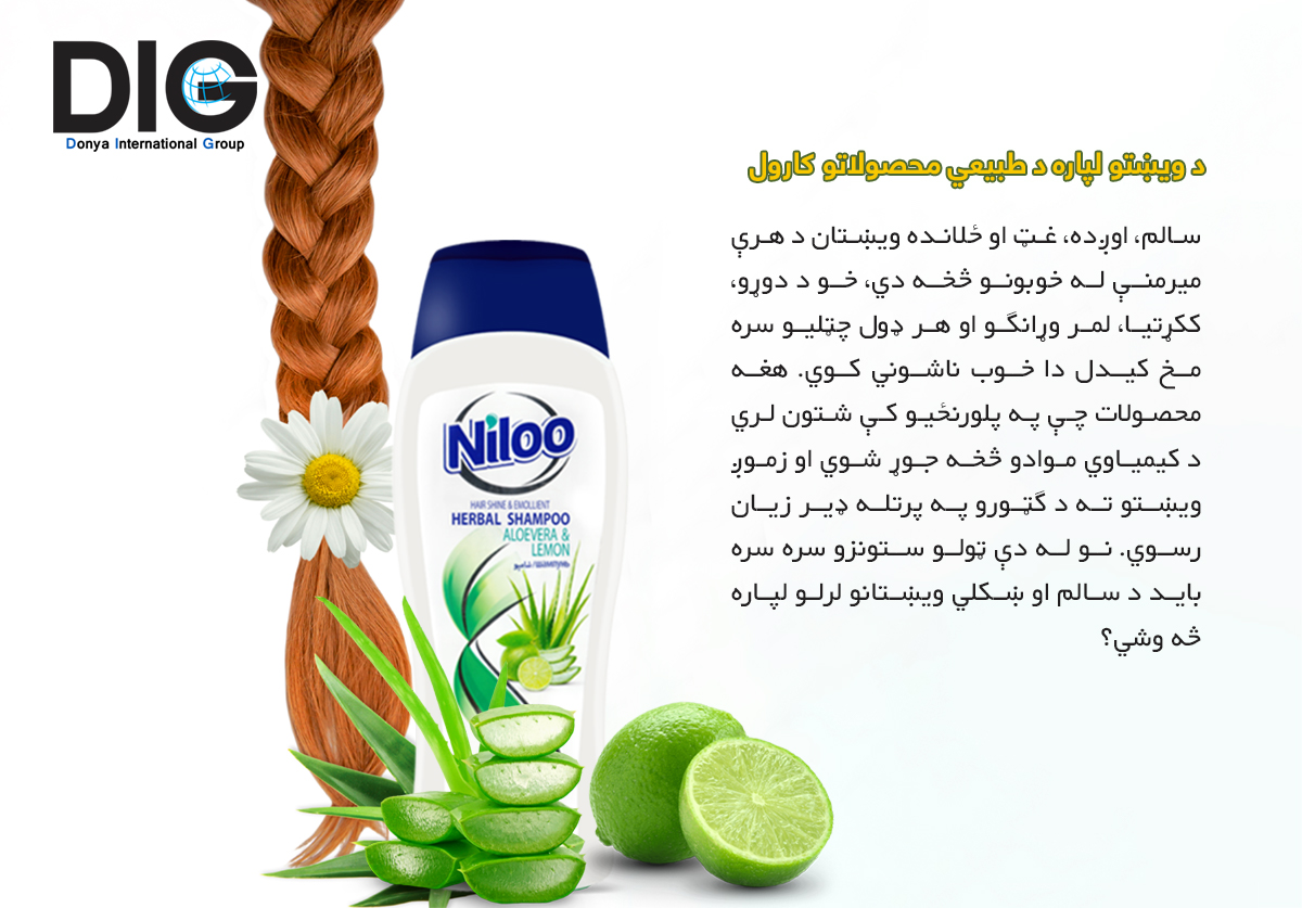 IMG-BLOG
