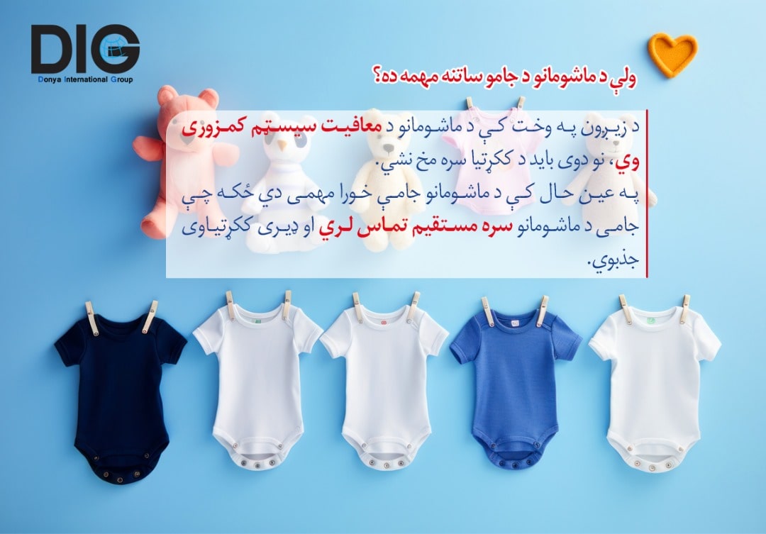 IMG-BLOG