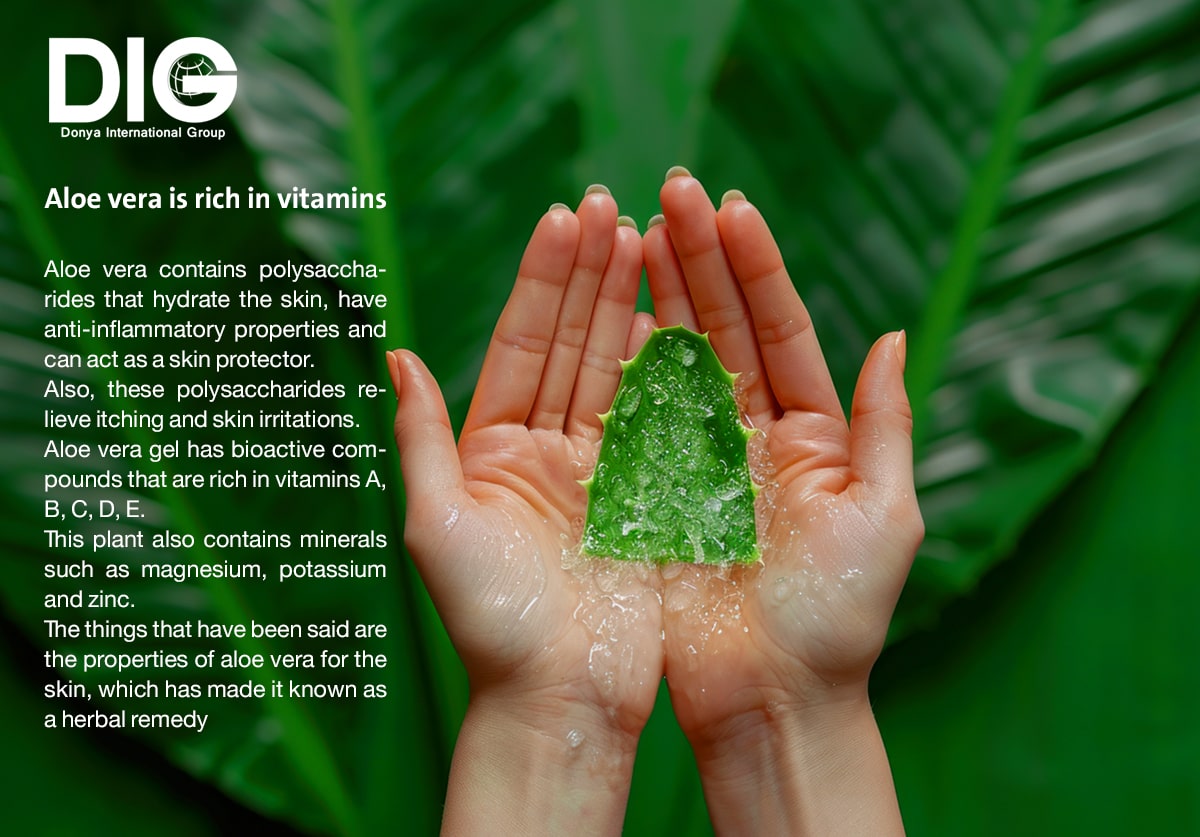 IMG-BLOG
