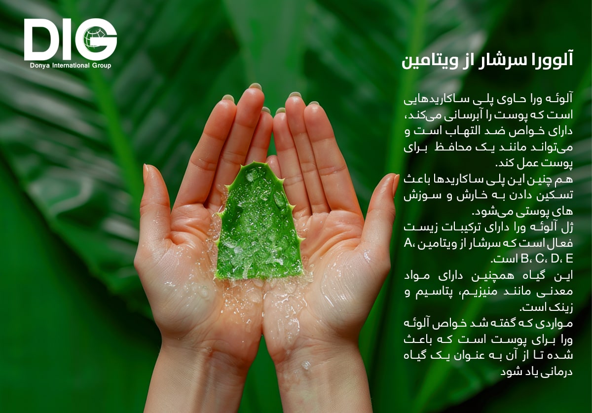 IMG-BLOG
