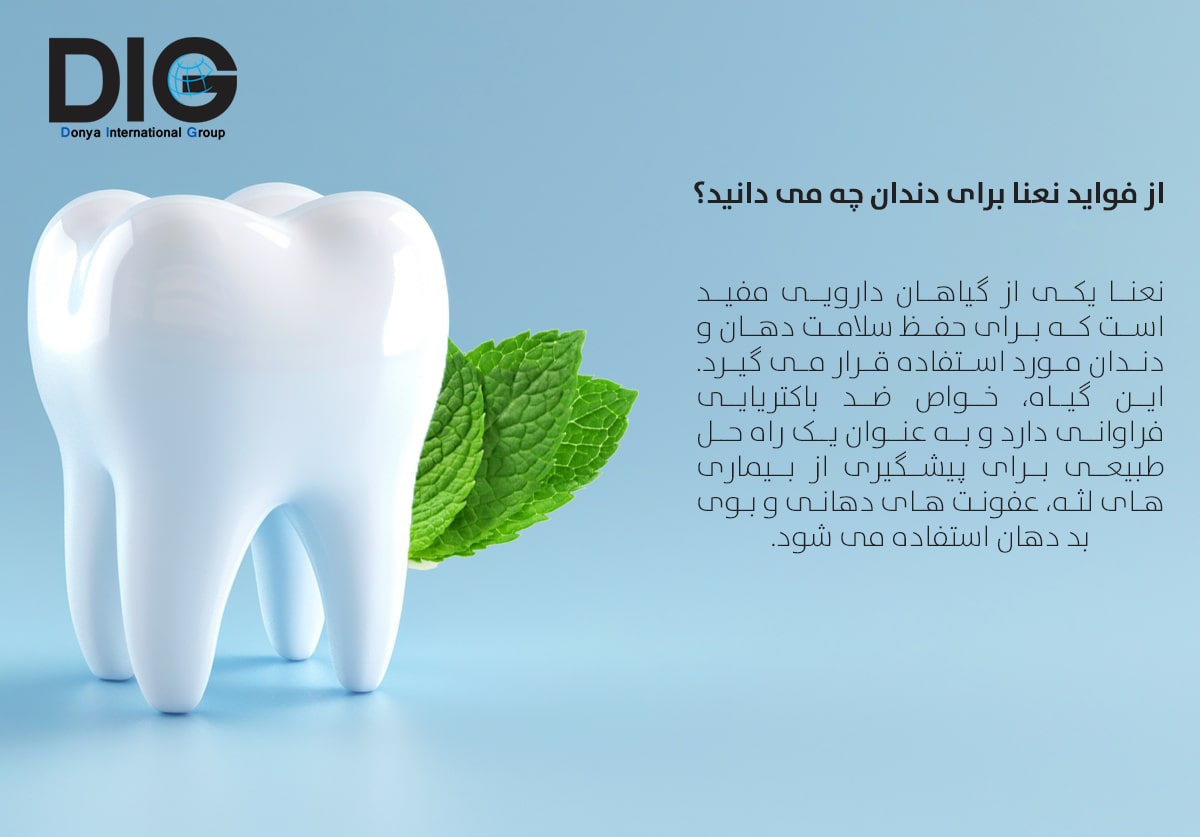 IMG-BLOG