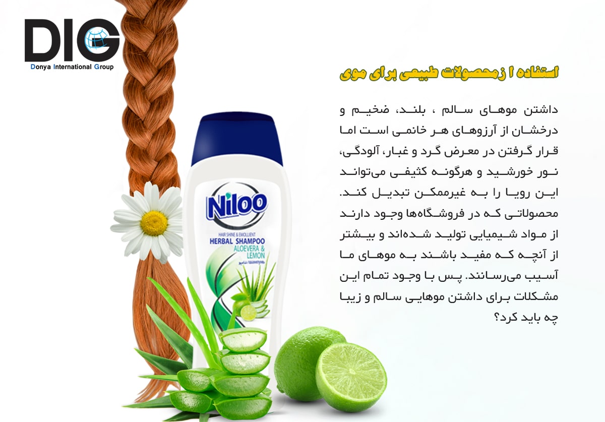 IMG-BLOG